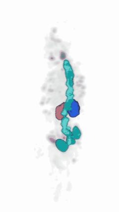 Dosimetrie-Visual