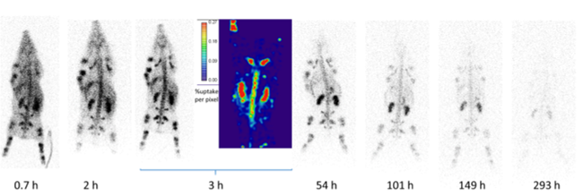 Beykan et al. 2022 — Is a single late SPECT/CT based kidney 177Lu-dosimetry superior to hybrid dosimetry? Physica Medica.